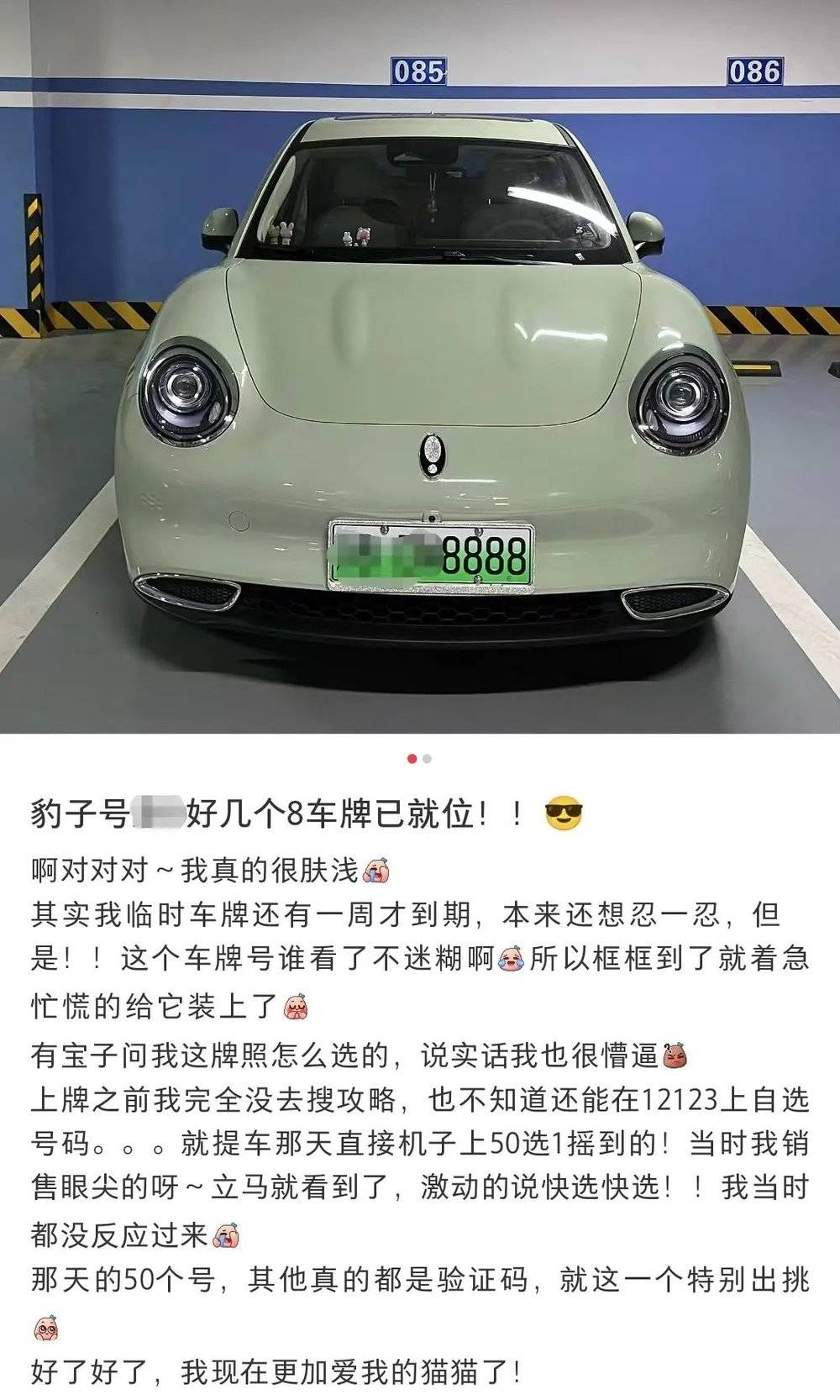 賭博：最“醜”的車牌，終於要被取消了？