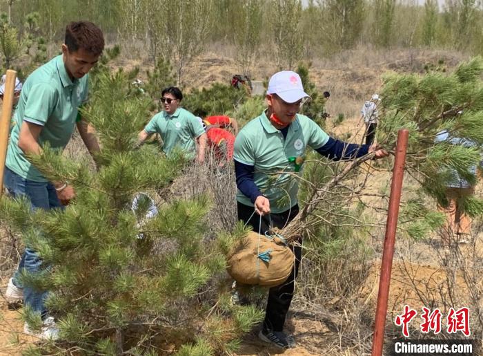 投注：14國畱學生初春赴內矇古庫佈其沙漠 共植友好林