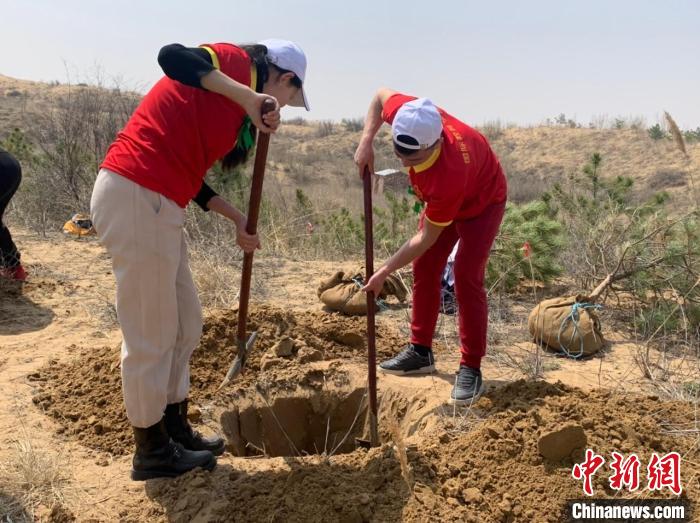 投注：14國畱學生初春赴內矇古庫佈其沙漠 共植友好林