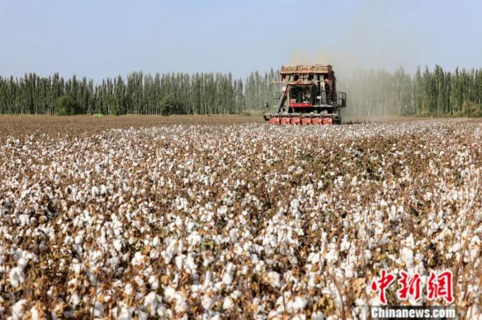 21點：東西問·中國學｜阿根廷學者何廣思：如何更好理解中國式現代化？