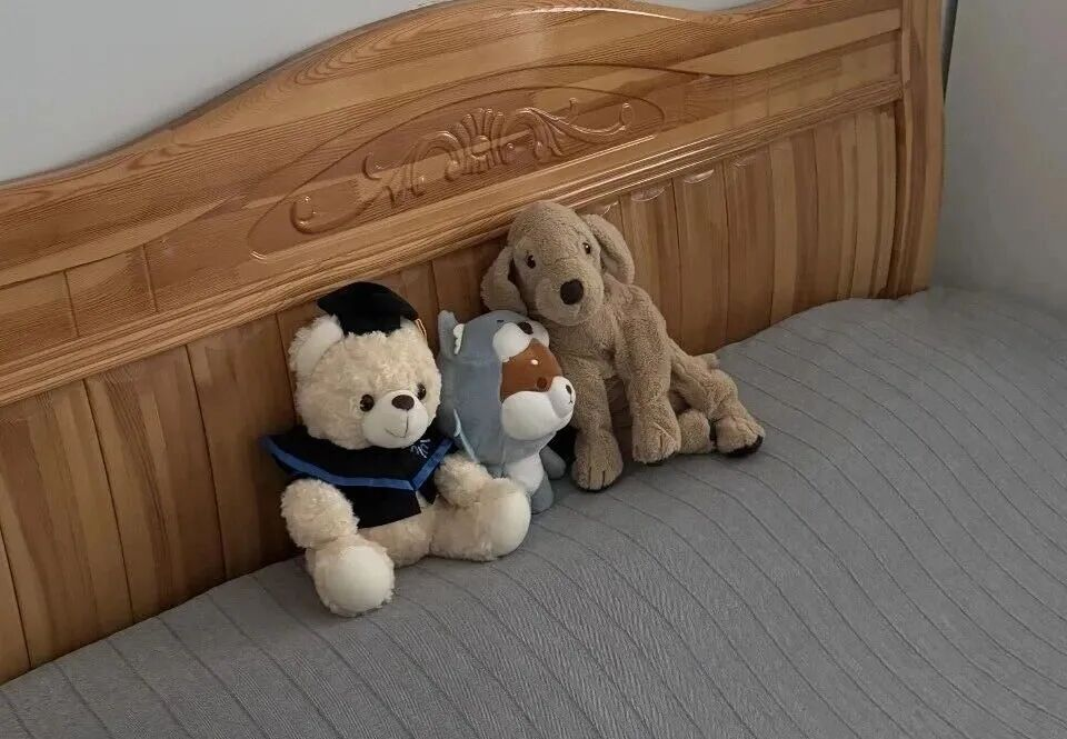 網上投注:“最讓人破防的歸鄕路”,搶不到票的年輕人在紅眼高鉄熬鷹