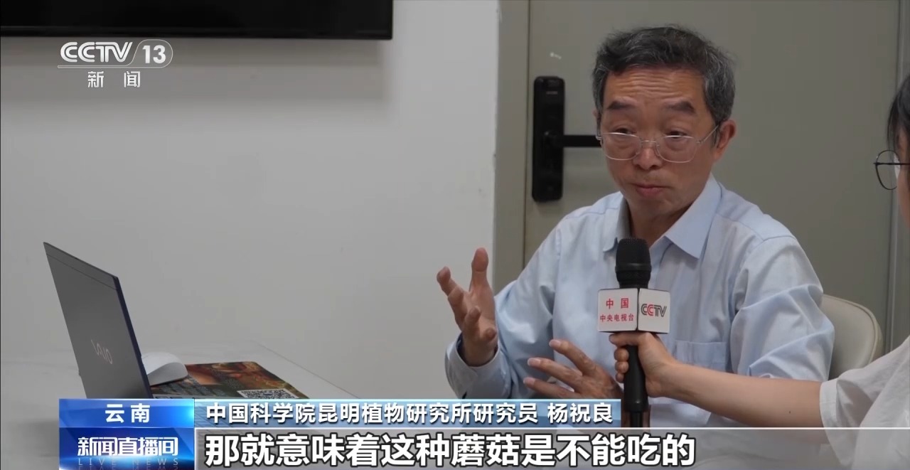 21點：又到野生菌中毒高發季 專家教你如何正確識菌